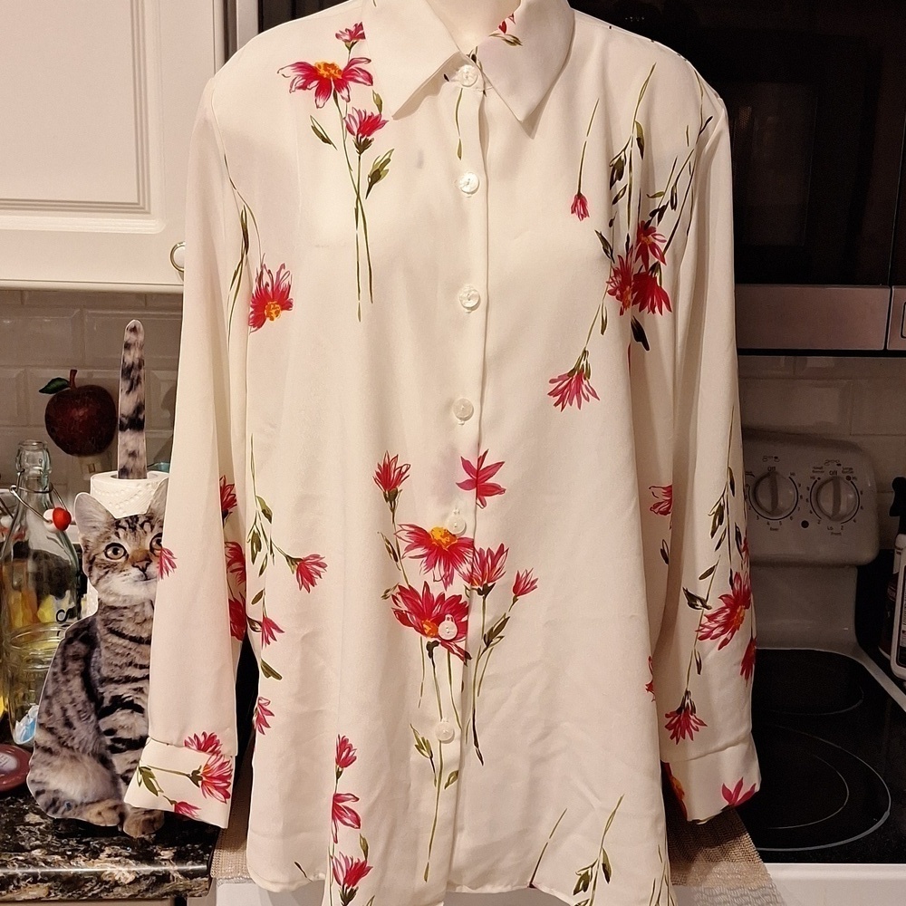 D Silver Threads long sleeve button down regular size blouse XL. EUC